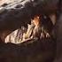 Underwater Ambush From Crocodile BBC Earth