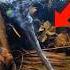 Top 5 INSANE Phenomenon You Ll Likely NEVER See