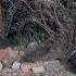 Ep 328 This Sangoma Is Talking To A Ghost
