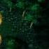 Game WarCraft III Dota Allstars V6 83d And Counter Strike 1 6