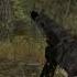 10 кд монстр в деле STALCRAFT X Stalcraft Stalcraftx Minecraft Stalker Mmofps Tarkov Trend