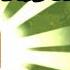 Plants Vs Zombies 2 Reflourished Vasebreaker Intro