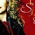 Sally Comes Around Radio Mix