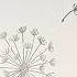 Easy Doodle Dandelion For Beginners How To Draw Dandelion Flower Art Shorts Doodles