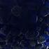 The Pandemic That Lasted 15 Million Years