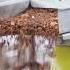 Automatic Cocoa Powder Processing Line Cocoa Butter Processing Machine