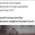 Fuzuli Ye Sormuşlar Sevmek Mi Daha Güzeldir Sevilmek Mi Sevmekmi Sevilmekmi Güzel