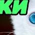Звук кошки как мяукают кошки