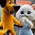 Dinka Chika Dinka Chika Cat Cute Shorts Shortsfeed Shortvideo Littlepetai02