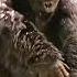 Godzilla Vs Kong Believer Version