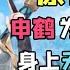 The Slime Is Covered With A Piece Of Cloth My Name Is Shen He You Remember