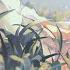Nightcore The King Lyrics By Rosendale