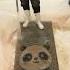 PANDA RUG CLEANING TRANSFORMATION