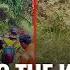 7 Killed In Uttarakhand Helicopter Crash What Caused The Crash Who Were The People Killed