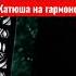 Катюша на гармошке