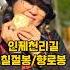 인제천리길 아무나갈수없는 칠절봉향로봉 아미평화순례길 챌린지 완주
