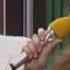 Al Bano Romina Power Donna