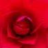 Mozart Le Nozze Di Figaro K 492 Act 4 Gente Gente All Armi
