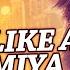 Dance Like A Chammiya Video Song Happy New Year Shah Rukh Khan T SERIES