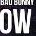 Bad Bunny Moscow Mule La Letra Lyrics