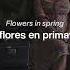 The Best Things In Life Are Free Sam Cooke Lyrics Letra En Español