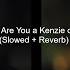The Batman Are You A Kenzie Or A Can T Zie Slowed Reverb