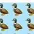 Total Kitni Ducks Hai Zahen Logo Batou Anekacreation Fyp Trend Foryou Viral 100kviews