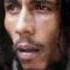 Easy Skanking Bob Marley LYRICS LETRA Reggae
