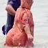 24 April 2025viral Reels Satisfying Aunty Ki Moti Gand Bhabhi Big Boobs Videos Bhabhi