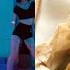 Kpop M V EXID L I E Kcook Korean DongGeuRangDdaeng Pork Pancake With Tofu Kimchi