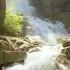 Звуки природы Sounds Of Nature Shorts